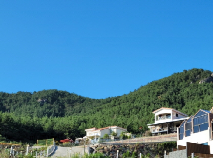 전라남도 여수시 화양면 임야 경매 물건 사진