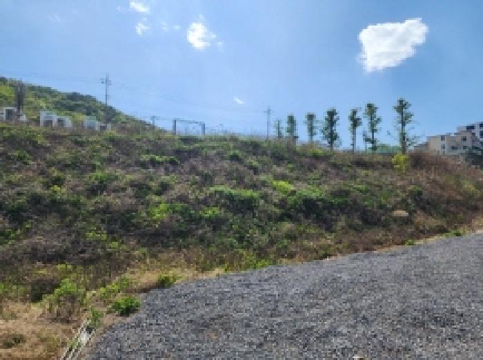 전라남도 여수시 돌산읍 임야 경매 물건 사진