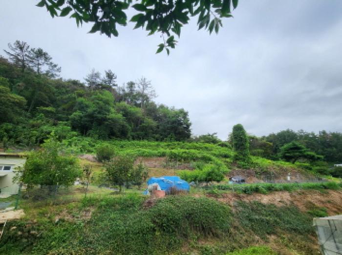 전라남도 순천시 인월동 전 경매 물건 사진