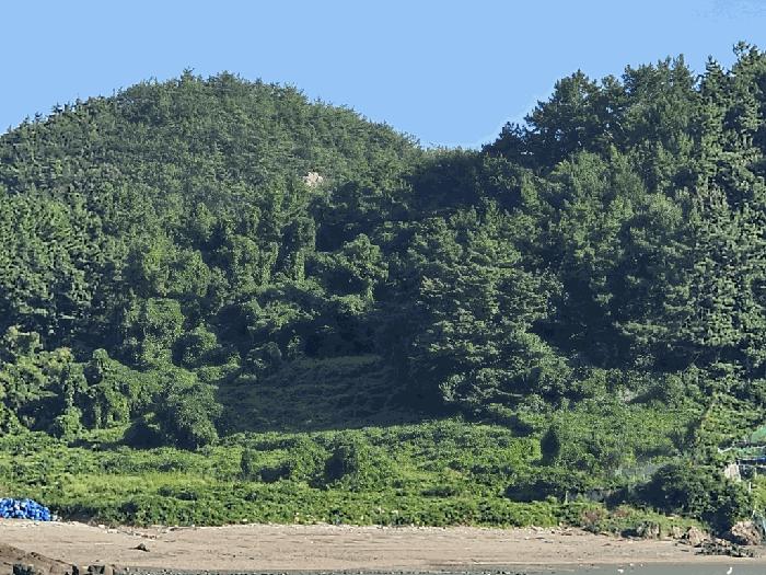 전라남도 고흥군 도화면 답 경매 물건 사진