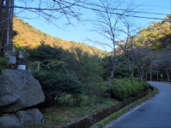 전라남도 보성군 문덕면 답 경매 물건 사진