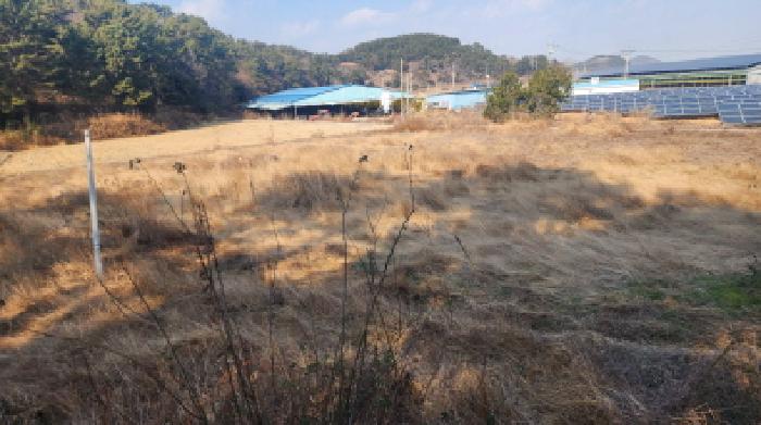 전라남도 고흥군 도덕면 답 경매 물건 사진