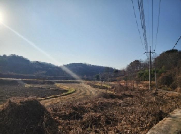 전라남도 광양시 광양읍 임야 경매 물건 사진