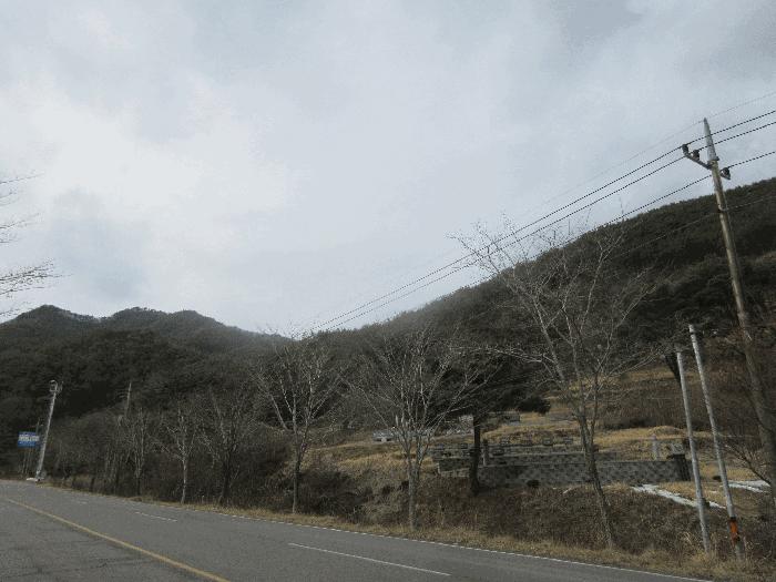 전라남도 순천시 주암면 임야 경매 물건 사진