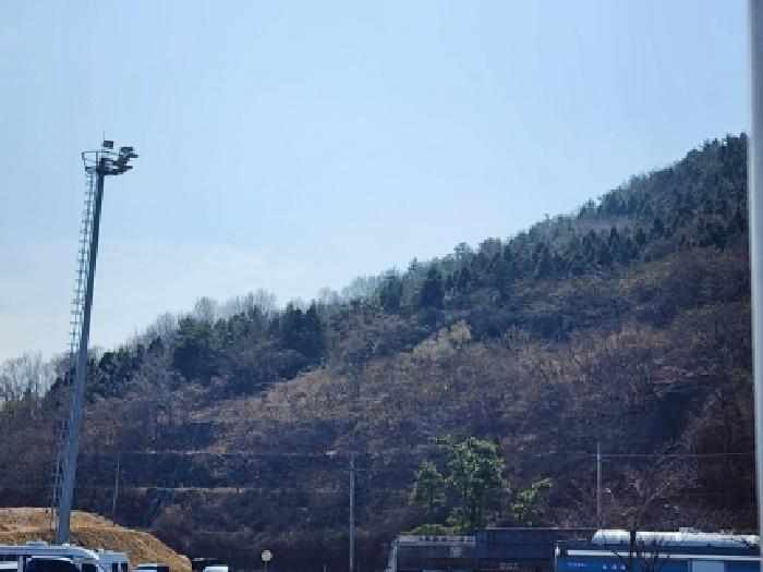 전라남도 여수시 묘도동 임야 경매 물건 사진