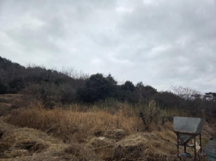 전라남도 순천시 별량면 전 경매 물건 사진