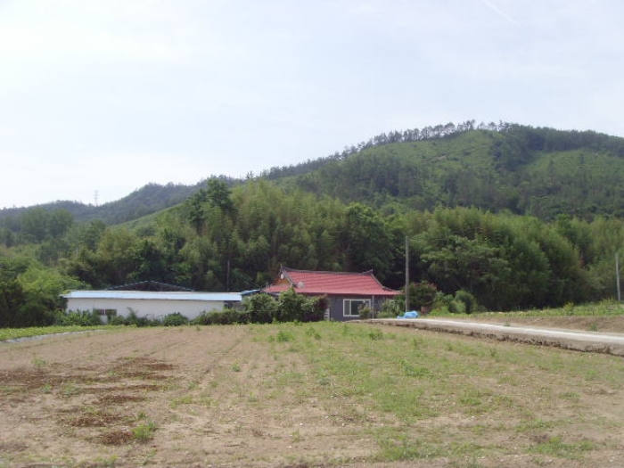 전라남도 해남군 삼산면 전 경매 물건 사진
