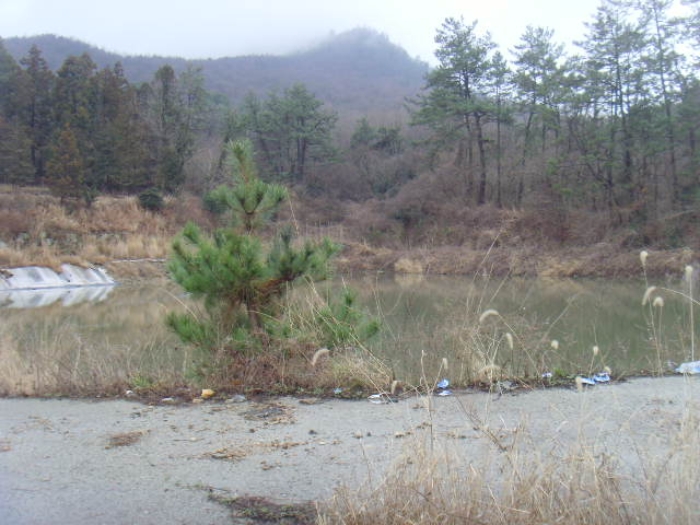 전라남도 해남군 현산면 답 경매 물건 사진