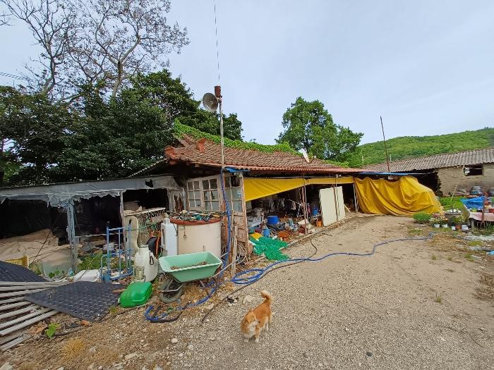 전라남도 해남군 현산면 전 경매 물건 사진