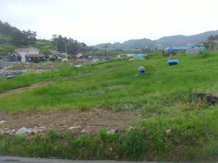 전라남도 완도군 고금면 공장/지식산업센터 경매 물건 사진