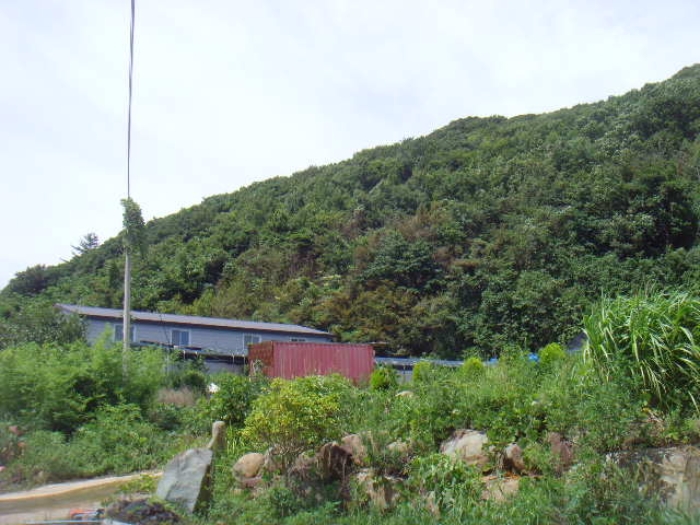 전라남도 완도군 군외면 창고시설 경매 물건 사진