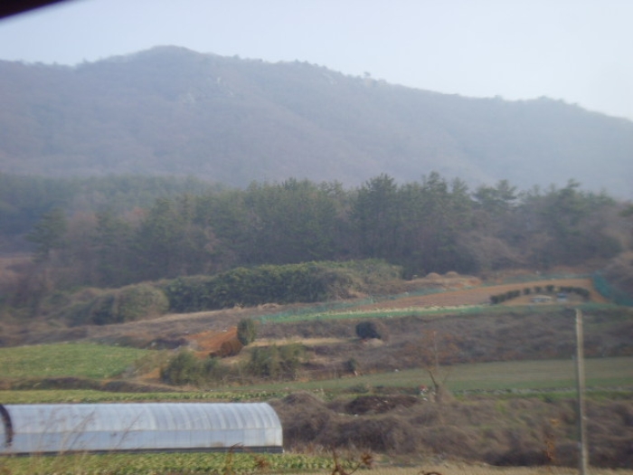 전라남도 해남군 화원면 전 경매 물건 사진