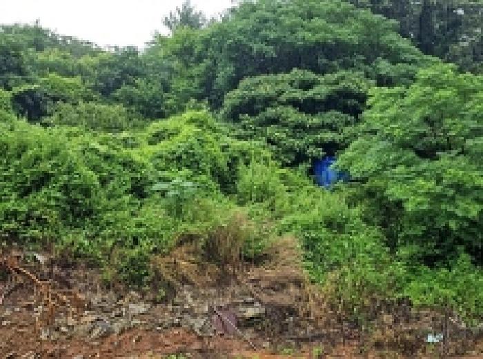 전라남도 해남군 화원면 대지 경매 물건 사진