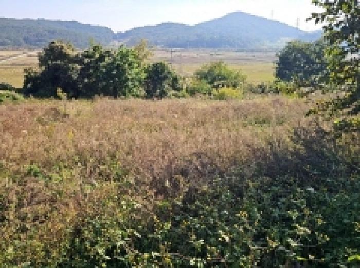 전라남도 해남군 황산면 전 경매 물건 사진