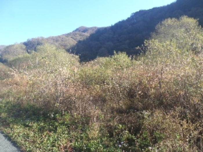 전북특별자치도 임실군 관촌면 답 경매 물건 사진