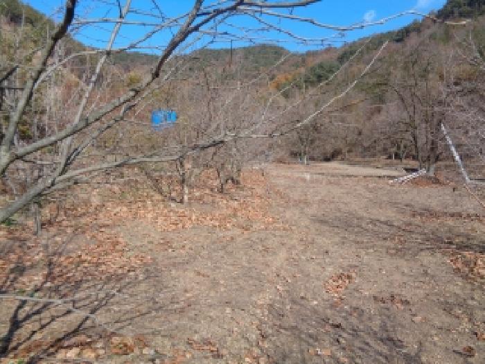전북특별자치도 완주군 경천면 전 경매 물건 사진
