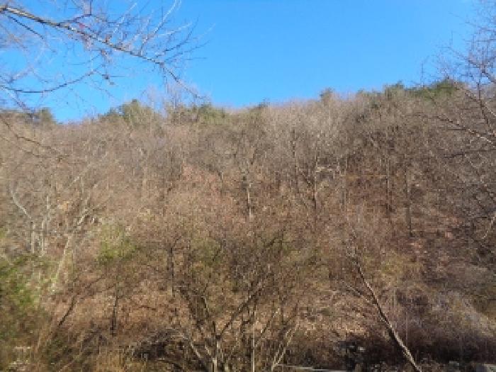 전북특별자치도 완주군 운주면 임야 경매 물건 사진