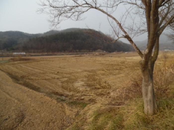 전북특별자치도 진안군 성수면 전 경매 물건 사진