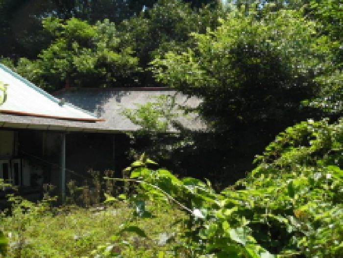 전북특별자치도 김제시 장화동 대지 경매 물건 사진
