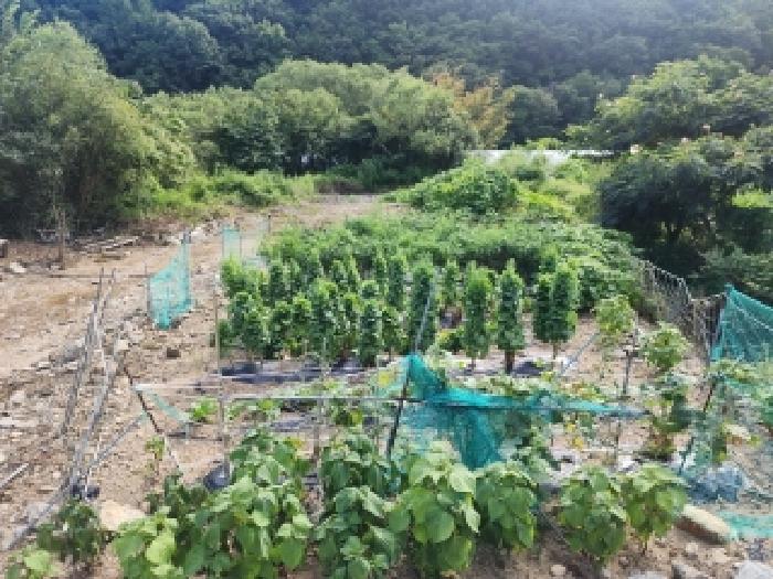 전북특별자치도 무주군 무풍면 답 경매 물건 사진