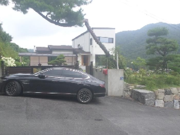 전북특별자치도 전주시 덕진구 전답 경매 물건 사진