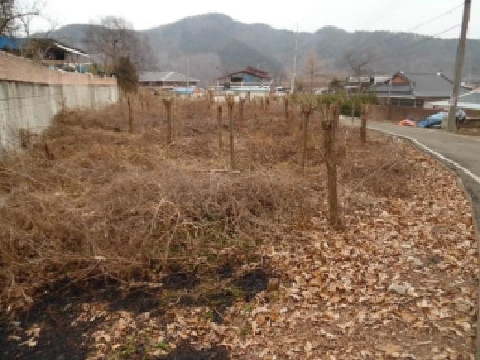 전북특별자치도 완주군 소양면 답 경매 물건 사진