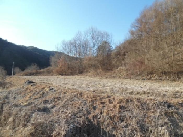 전북특별자치도 진안군 백운면 답 경매 물건 사진