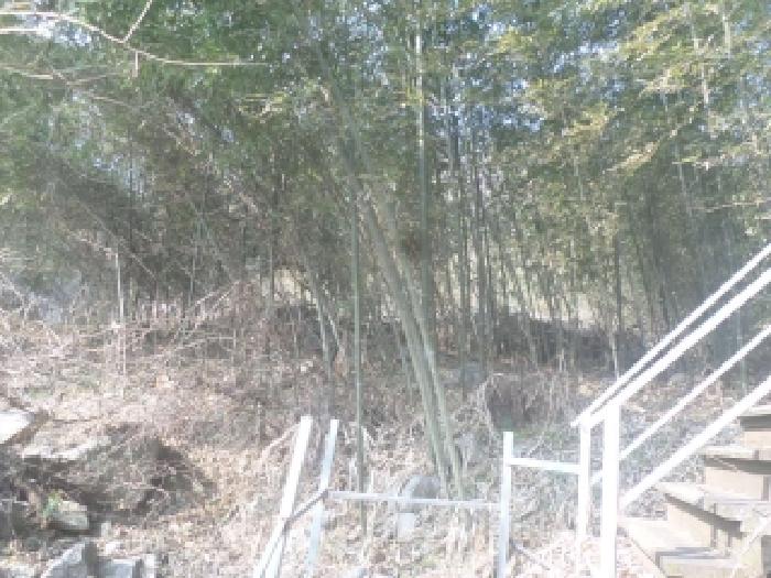 전북특별자치도 완주군 구이면 대지 경매 물건 사진