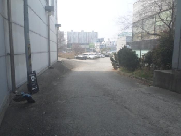 전북특별자치도 전주시 덕진구 도로 경매 물건 사진