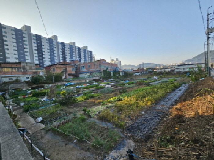 전북특별자치도 정읍시 상동 답 경매 물건 사진