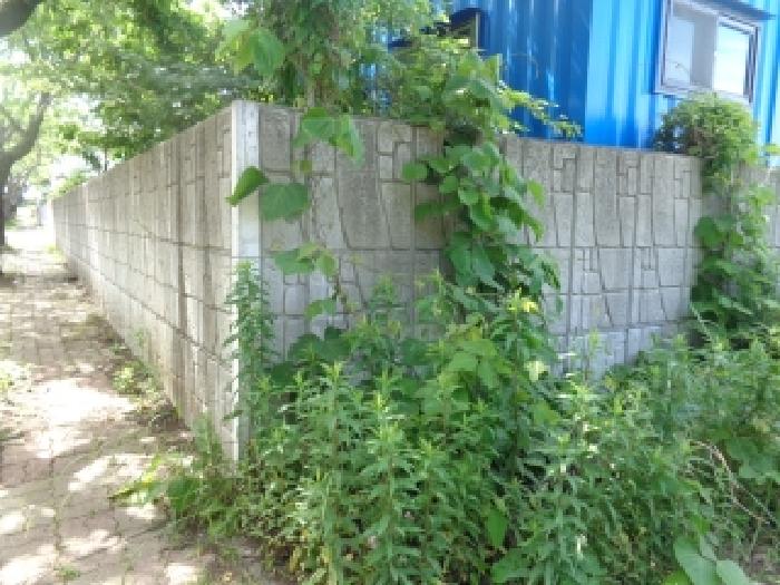 최고 낙찰가 — 제주특별자치도 제주시 영평동 공장