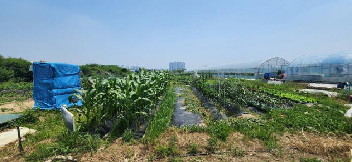 경기도 고양시 일산서구 전 경매 물건 사진