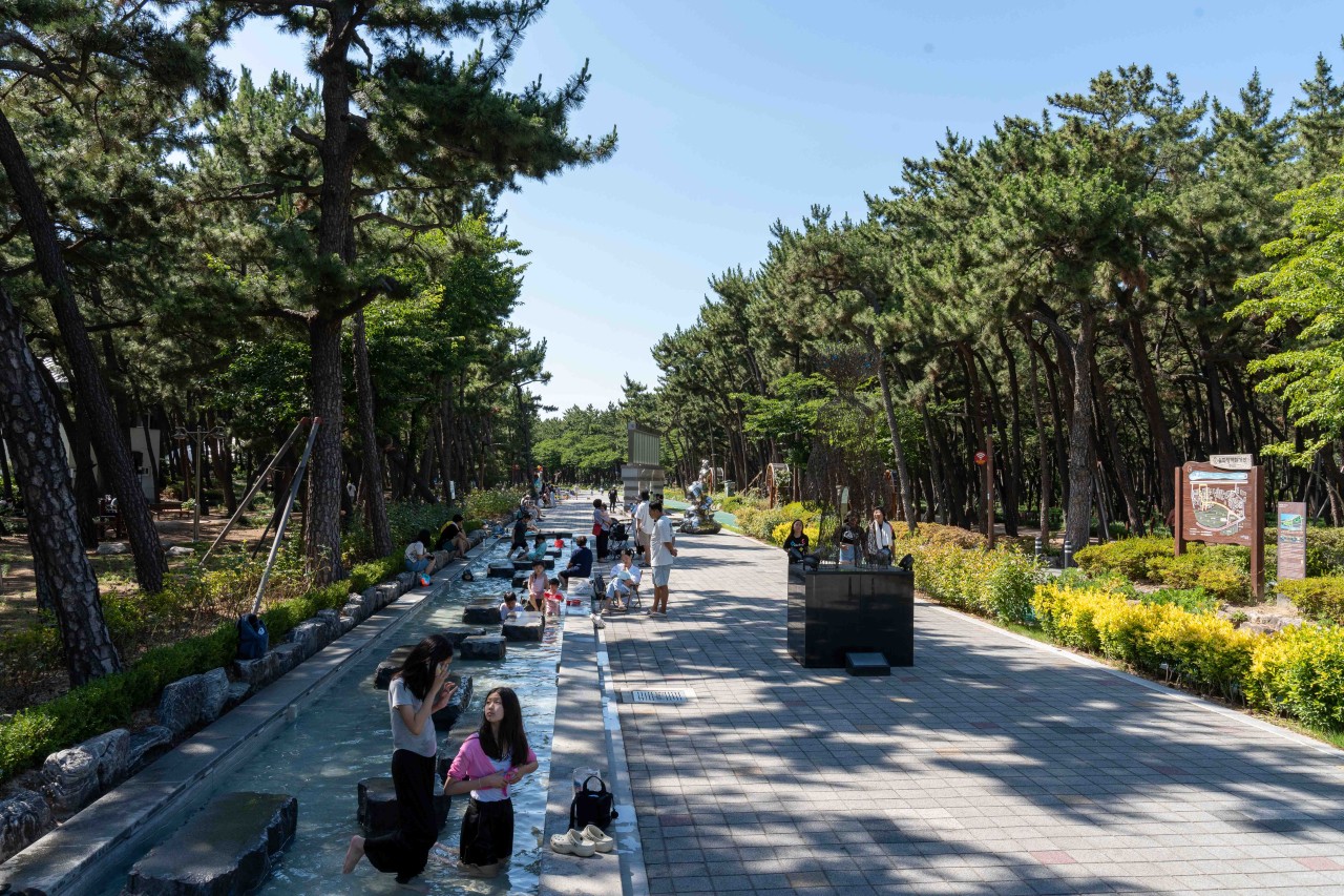 ‘모범 도시숲’ 인증제 개편···우수 도시숲등 선정·포상 이미지3