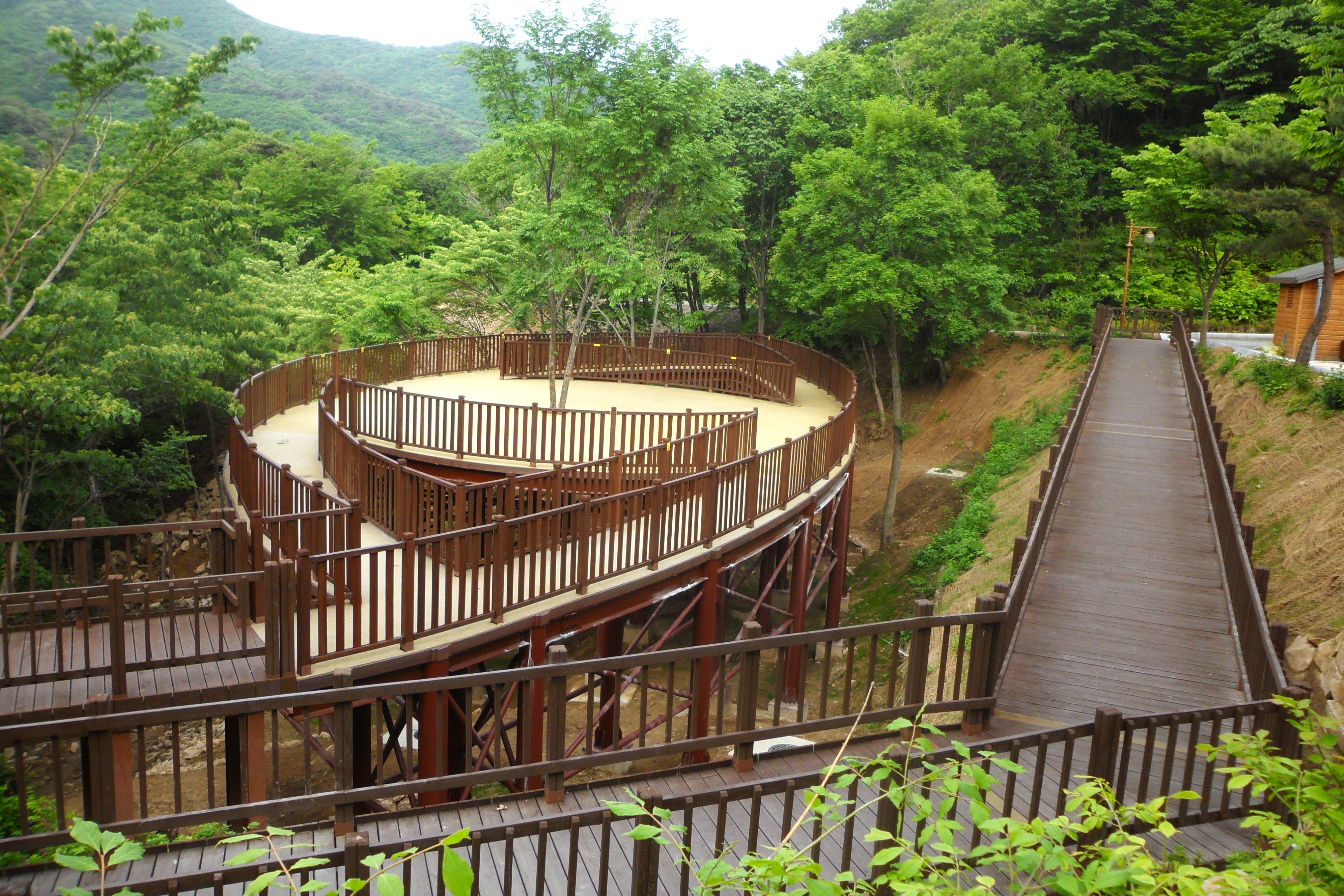 한 걸음 더 들어가면 특별한 숲, 국립자연휴양림 이미지3