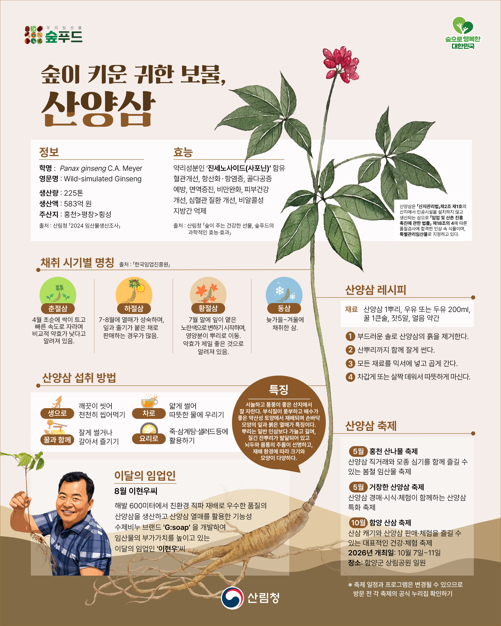 산림청, 8월 이달의 임산물로 ‘산양삼’ 선정 이미지1