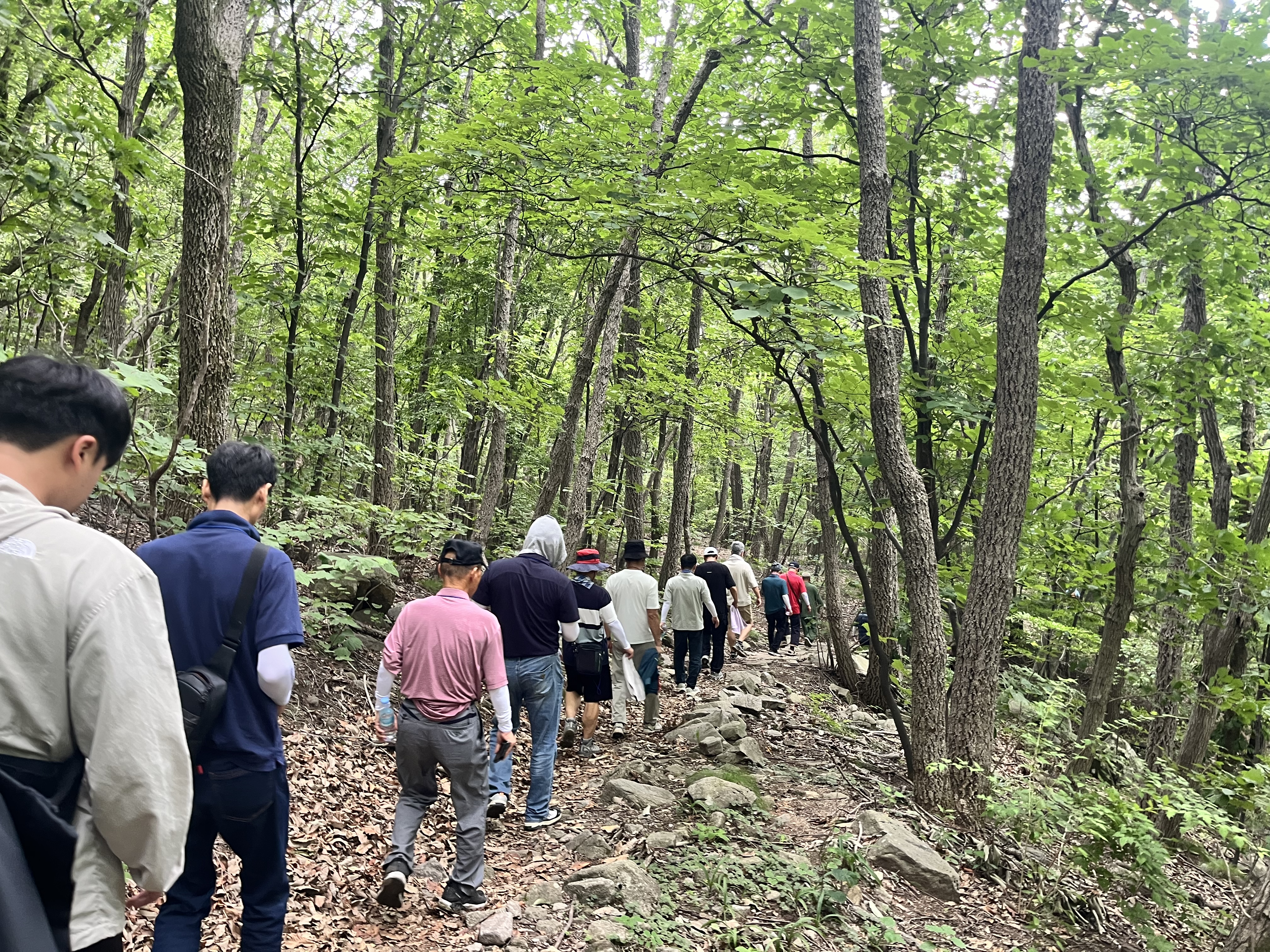일상 가까운 숲에서 마음 건강 찾는다…보건·산림복지 융합형 서비스 시동 - 국립산림과학원, 지역 정신건강복지센터와 손잡고 중장년 남성의 활력 지원 이미지1