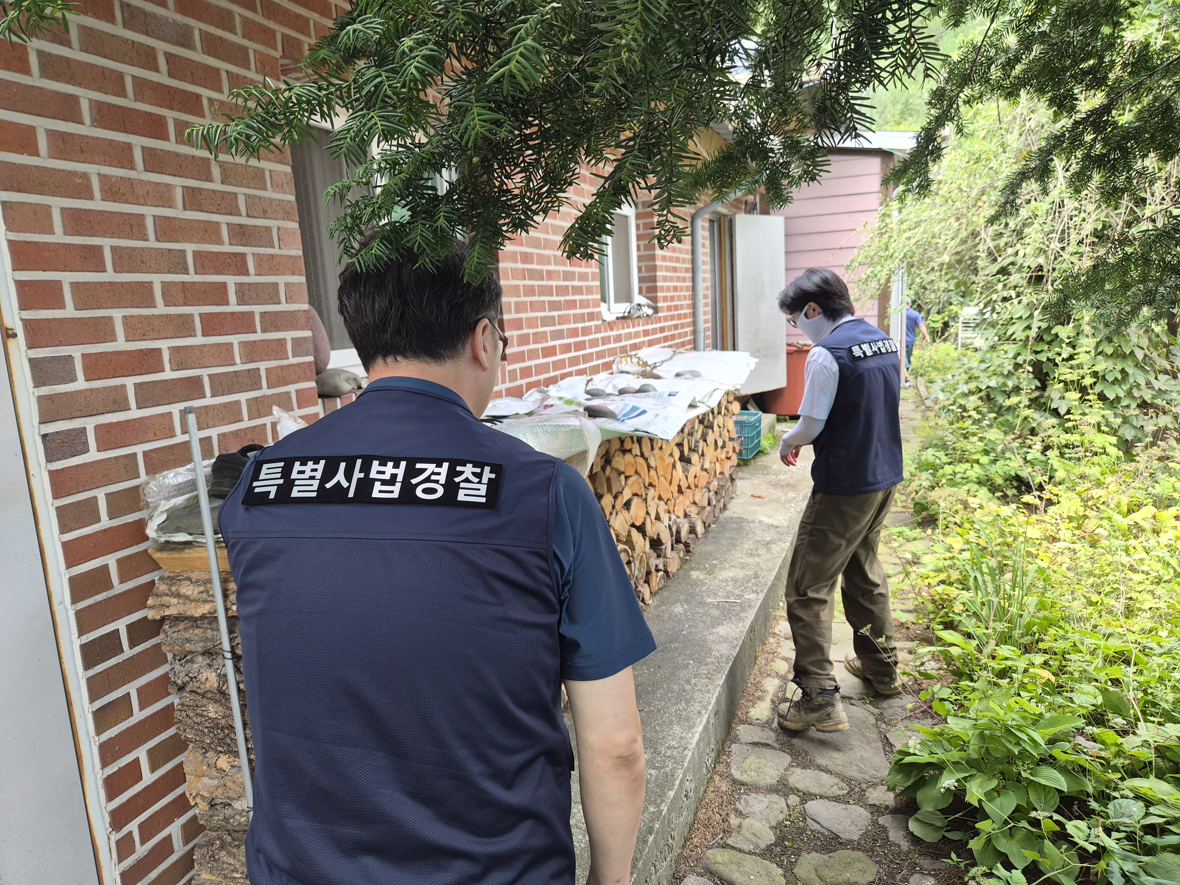 동부지방산림청, 소나무류 무단이동 합동단속 실시 이미지1