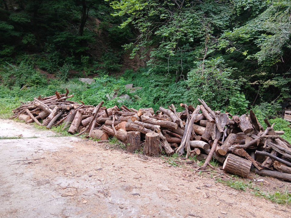 영주국유림관리소, 숲가꾸기 부산물로 '산불 예방·온기 나눔' 동시 실천 - 버려지는 산림자원(자투리 나무) 지역사회에 환원 -