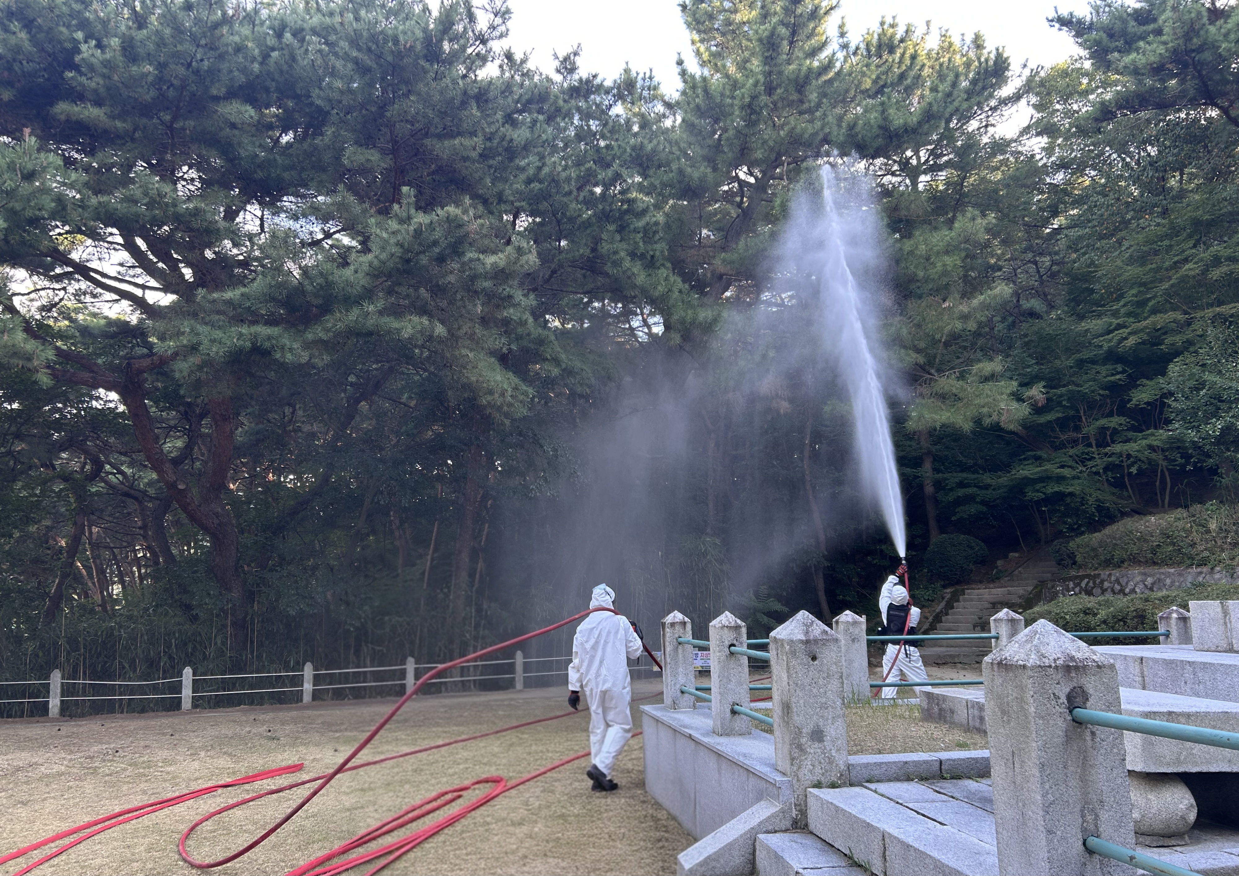 정읍국유림관리소, ‘소나무재선충병 지상 방제 ’ 성공적 마무리 이미지1