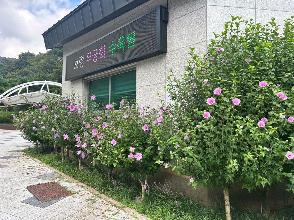 산림청, 올해 최고의 무궁화 명소 4곳 선정 이미지2