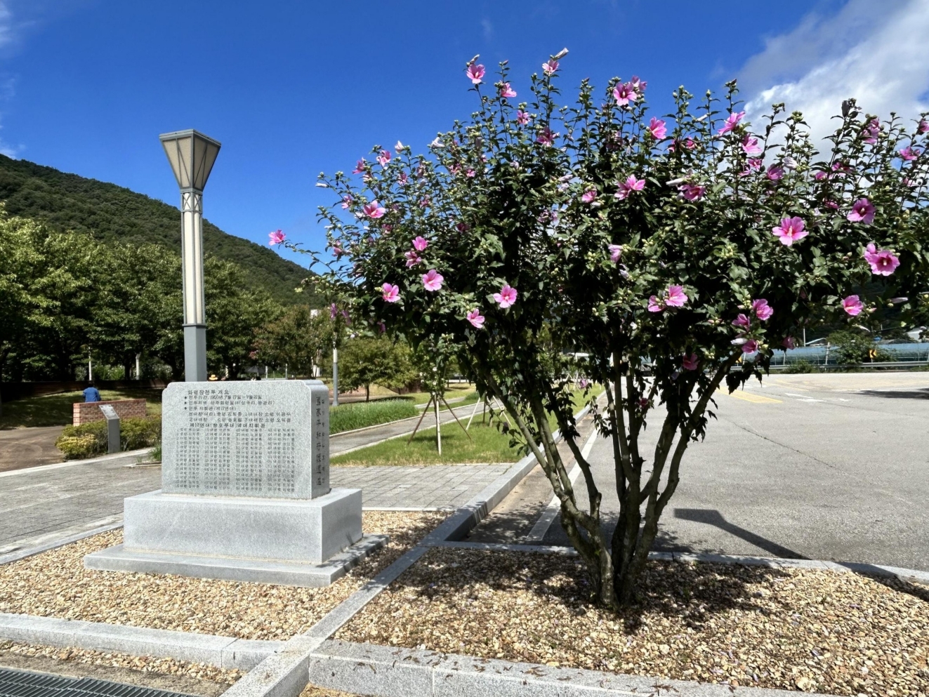 산림청, 올해 최고의 무궁화 명소 4곳 선정 이미지3