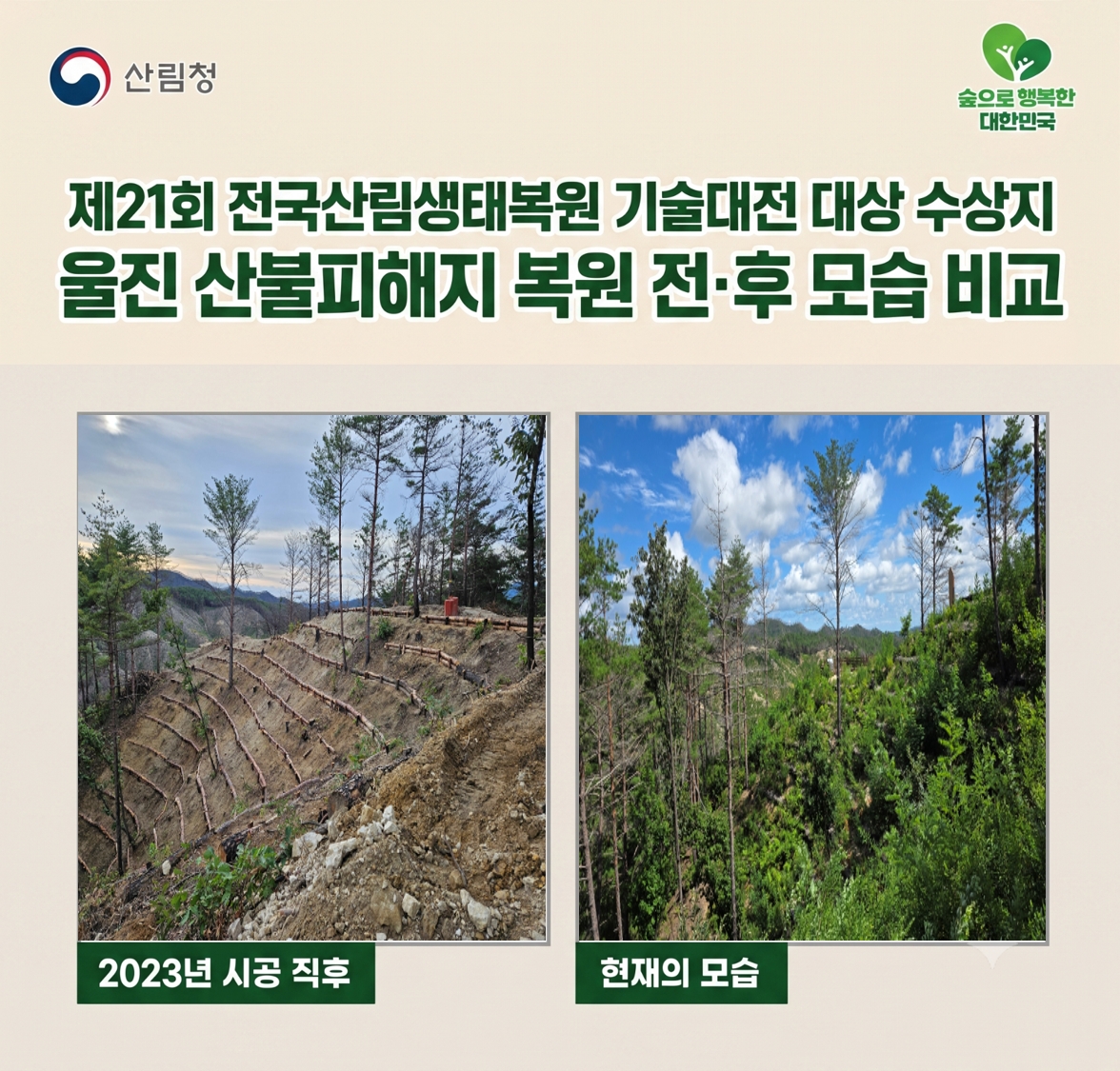 산불 피해목, 다시 숲을 살리는 재료가 되다 이미지1