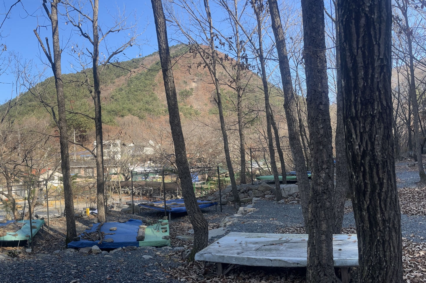 산림청, 산림계곡 내 불법시설 철거 속도 낸다 이미지1