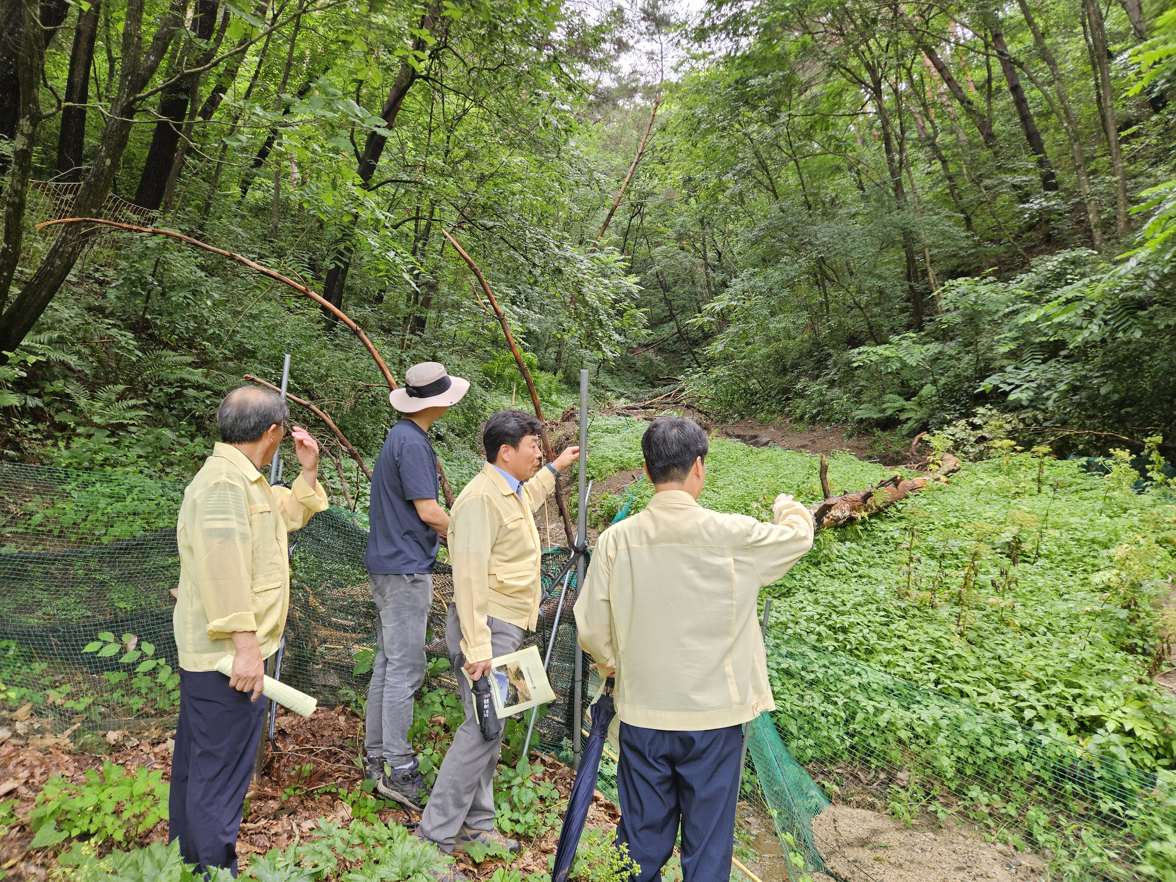 북부지방산림청, 집중호우 산림피해지 신속 복구 나선다 이미지2