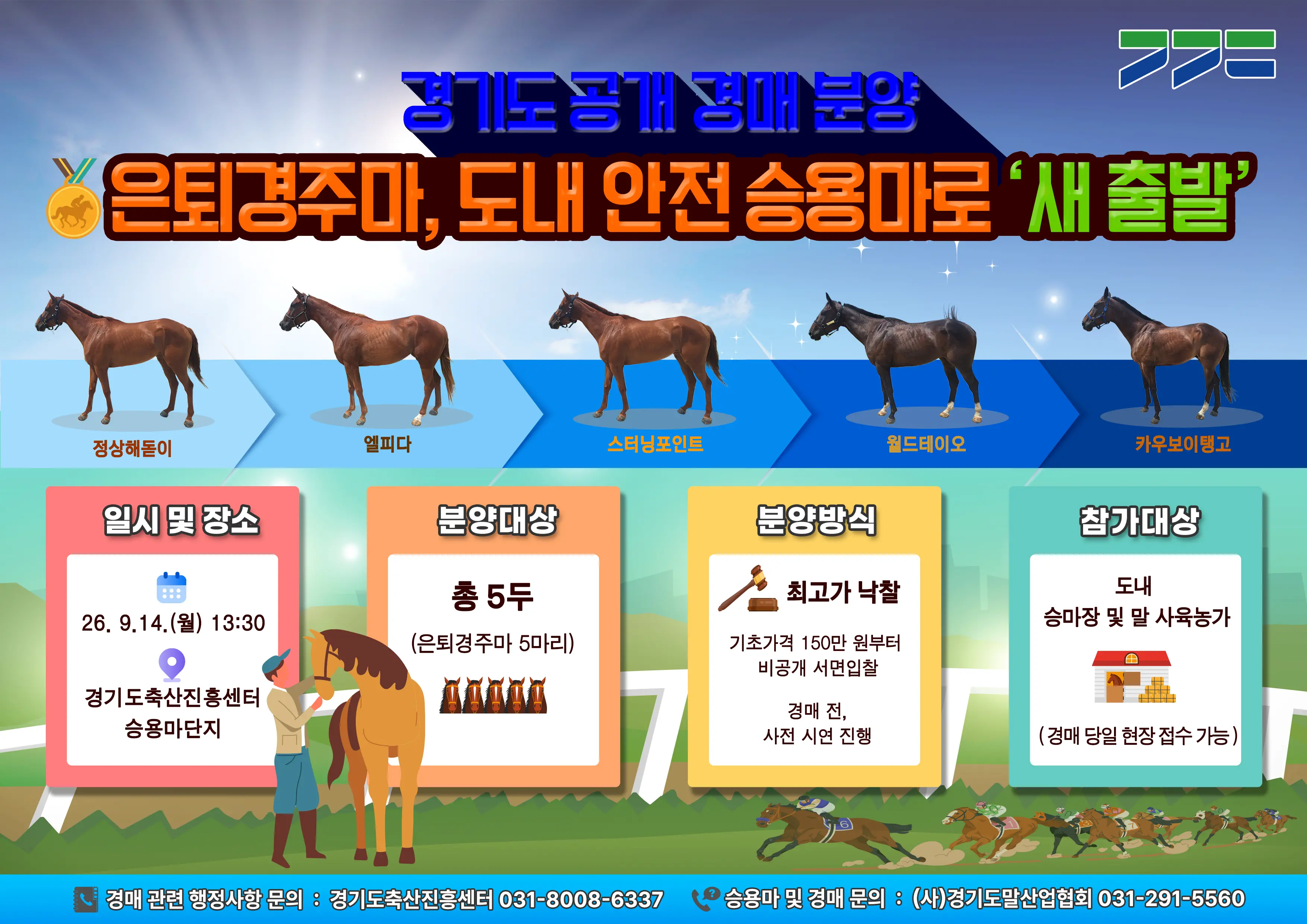 경기도, 은퇴경주마 5마리 승용마로 재조련해 공개 분양
