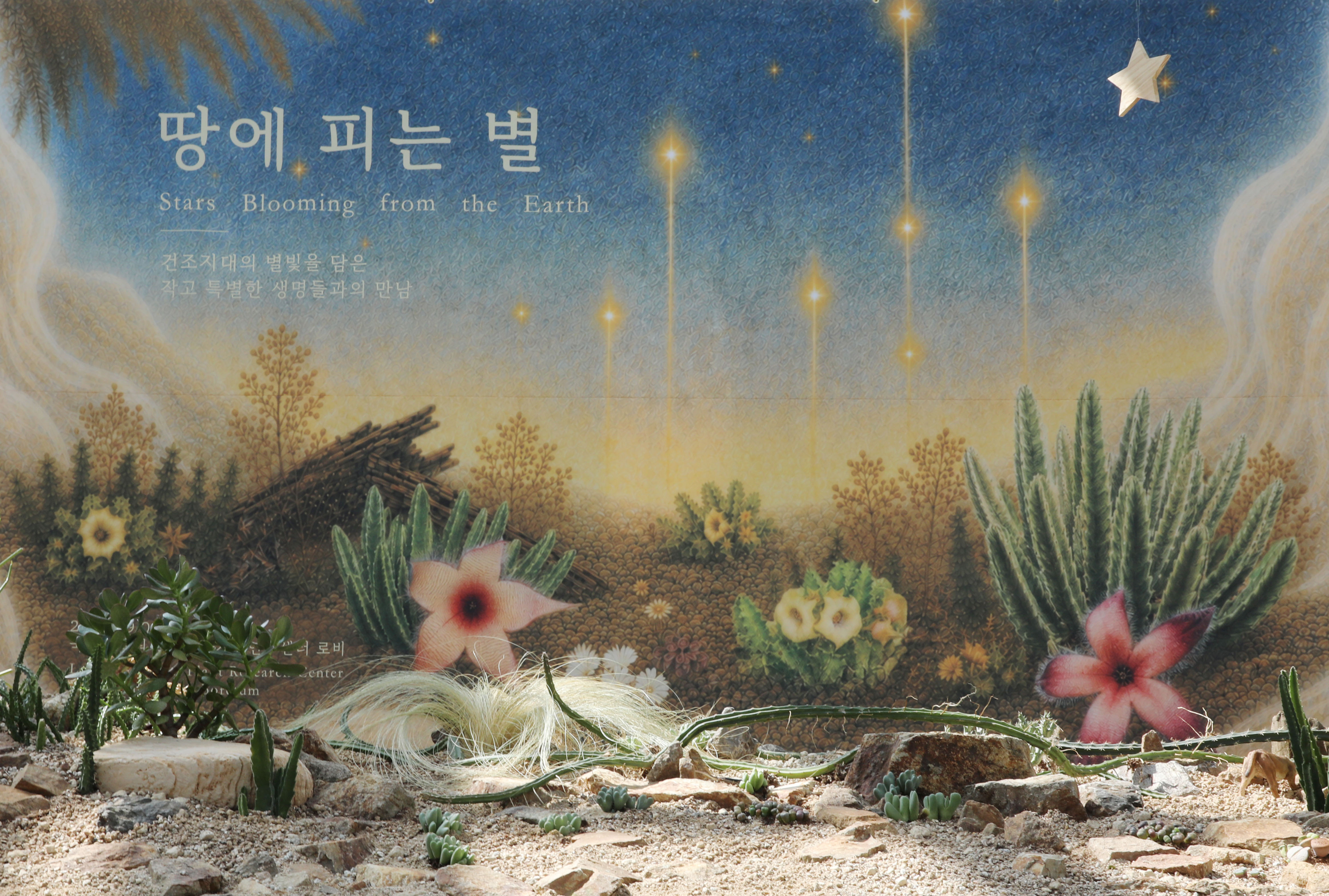 국립수목원, 다육식물 특별전 「땅에 피는 별」 개최 이미지1