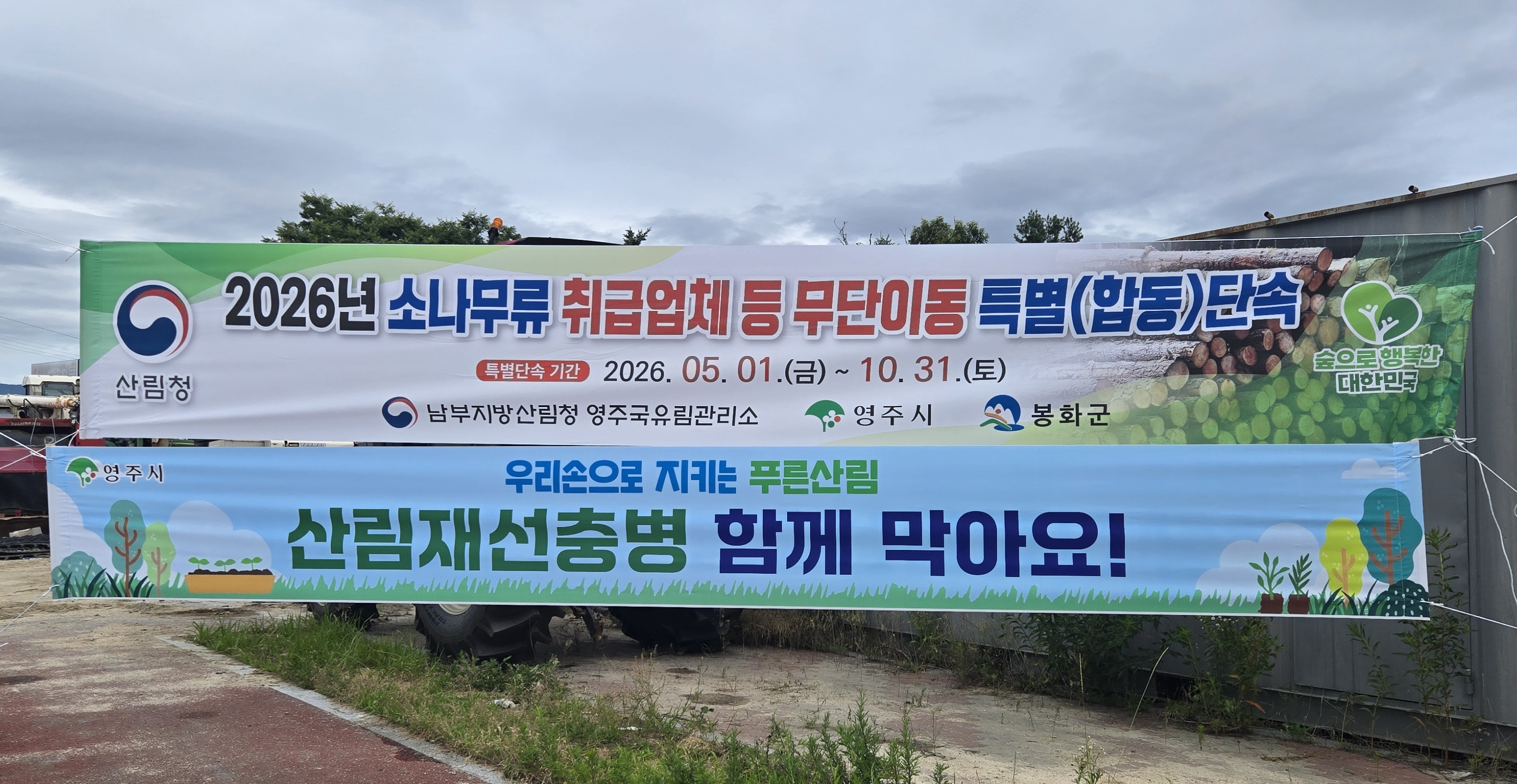 영주국유림관리소, 소나무류 무단 이동 특별단속 시행 -10월부터 무단 이동 시 과태료 및 형사 처벌…강력 대응 시사-