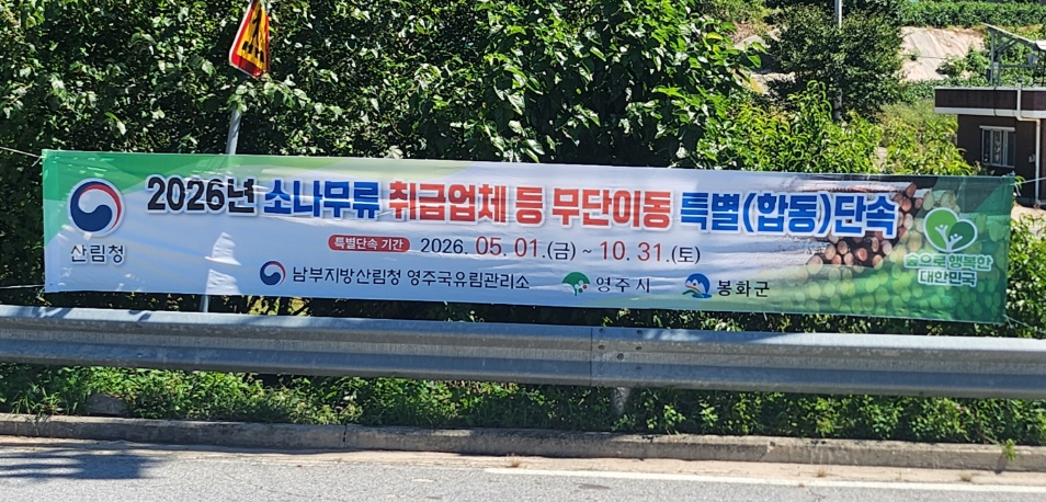 영주국유림관리소, 소나무류 무단 이동 특별단속 시행 -10월부터 무단 이동 시 과태료 및 형사 처벌…강력 대응 시사-