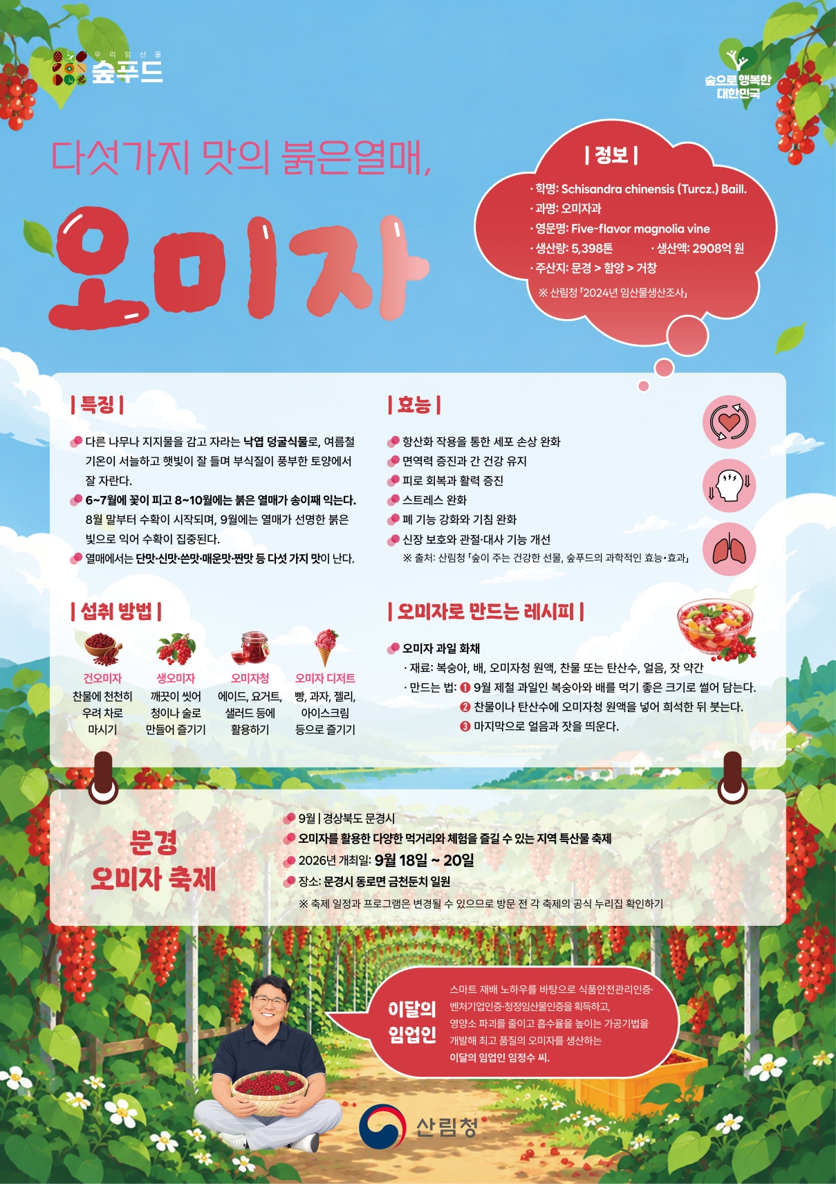 산림청, 9월 이달의 임산물로 ‘오미자’ 선정 이미지1