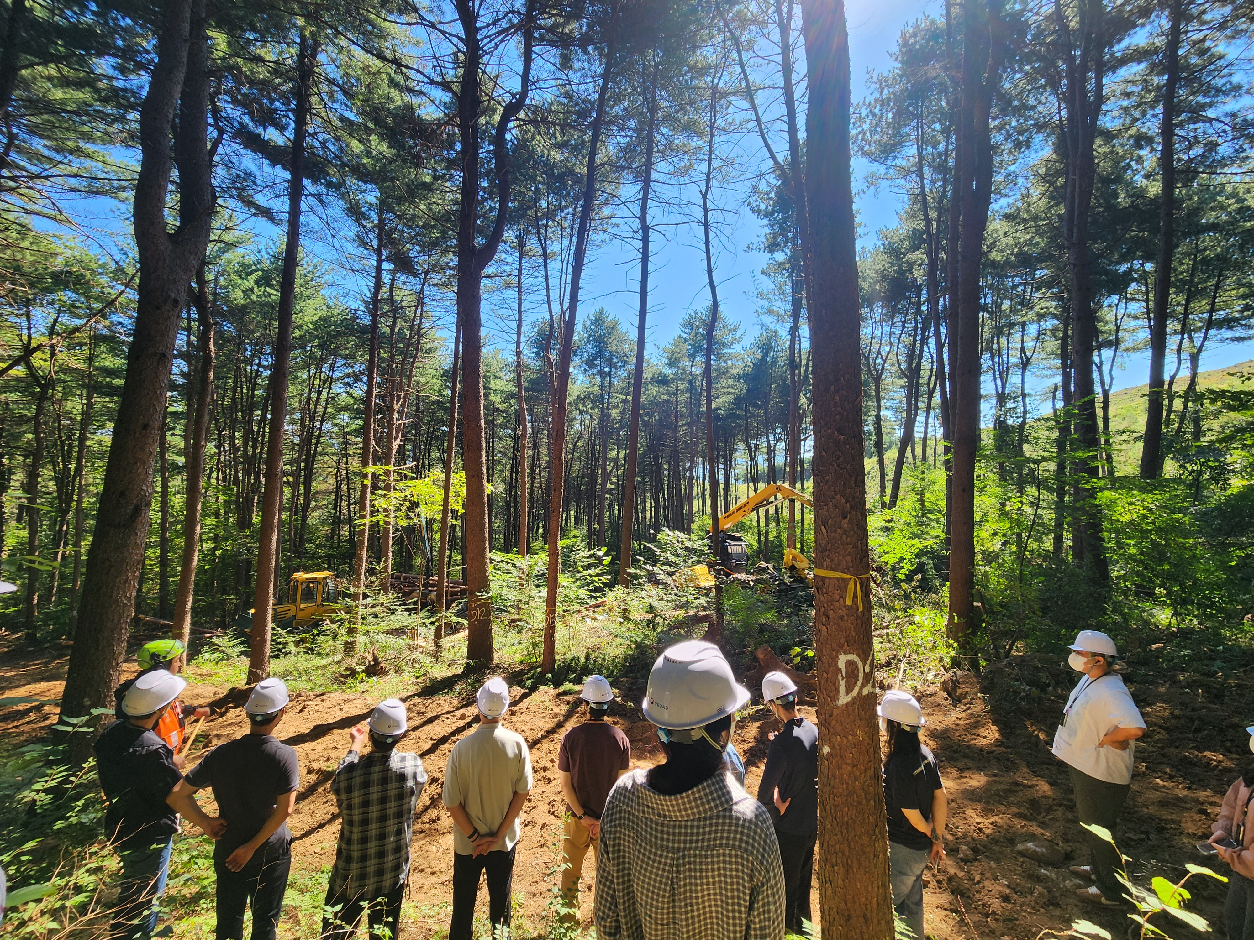목재수확계획 연구성과, 현장에서 직접 보고 배운다 - 국립산림과학원, 산림 현장 관계자 대상 목재수확계획 수립·적용 과정 시연 이미지1